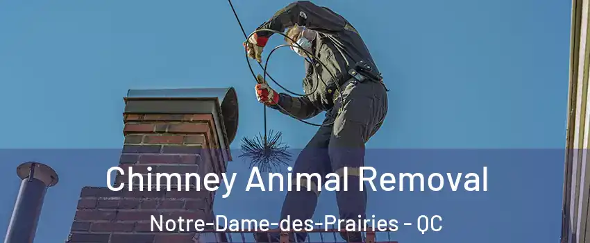 Chimney Animal Removal Notre-Dame-des-Prairies - QC