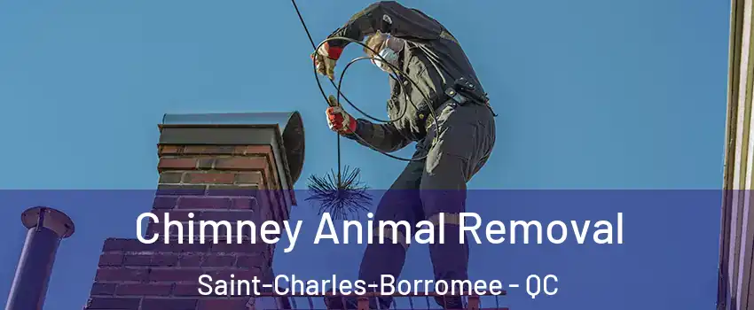Chimney Animal Removal Saint-Charles-Borromee - QC