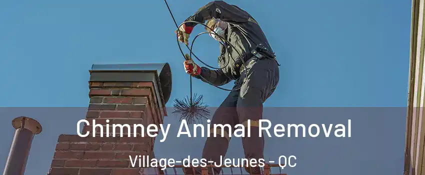 Chimney Animal Removal Village-des-Jeunes - QC
