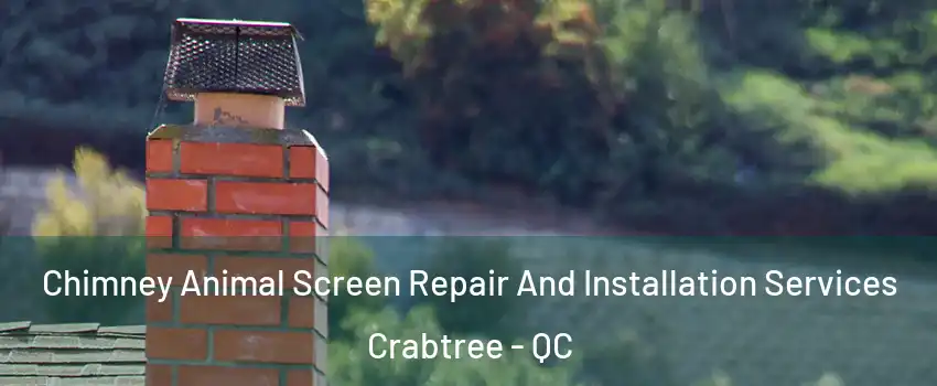  Chimney Animal Screen Repair And Installation Services Crabtree - QC