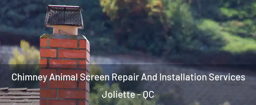  Chimney Animal Screen Repair And Installation Services Joliette - QC