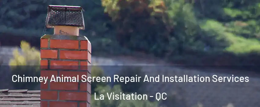  Chimney Animal Screen Repair And Installation Services La Visitation - QC