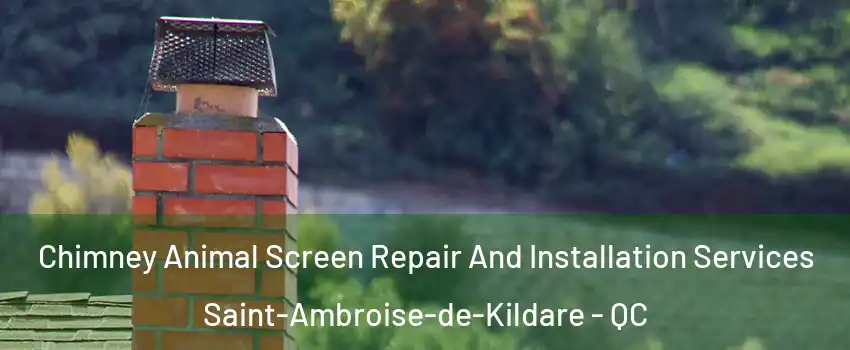  Chimney Animal Screen Repair And Installation Services Saint-Ambroise-de-Kildare - QC
