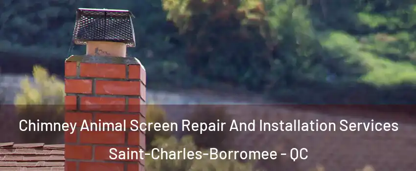  Chimney Animal Screen Repair And Installation Services Saint-Charles-Borromee - QC
