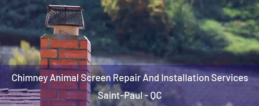  Chimney Animal Screen Repair And Installation Services Saint-Paul - QC
