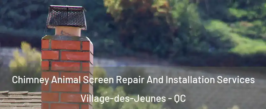  Chimney Animal Screen Repair And Installation Services Village-des-Jeunes - QC