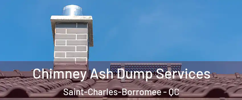 Chimney Ash Dump Services Saint-Charles-Borromee - QC