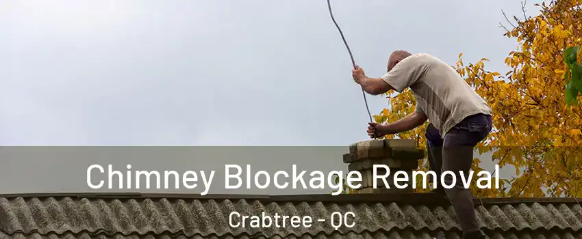  Chimney Blockage Removal Crabtree - QC