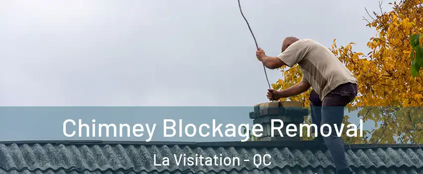  Chimney Blockage Removal La Visitation - QC