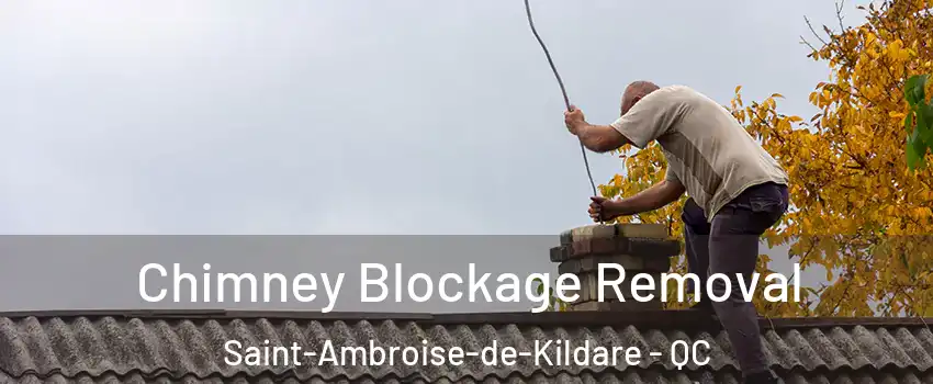  Chimney Blockage Removal Saint-Ambroise-de-Kildare - QC