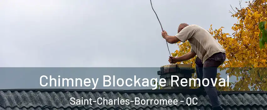  Chimney Blockage Removal Saint-Charles-Borromee - QC