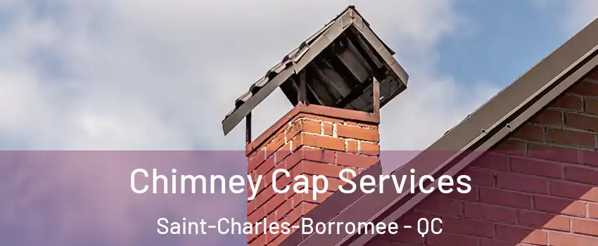  Chimney Cap Services Saint-Charles-Borromee - QC