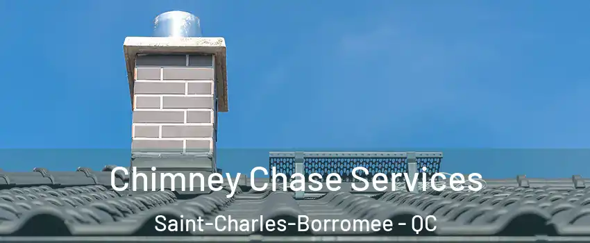  Chimney Chase Services Saint-Charles-Borromee - QC