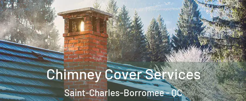  Chimney Cover Services Saint-Charles-Borromee - QC