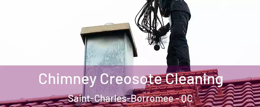  Chimney Creosote Cleaning Saint-Charles-Borromee - QC