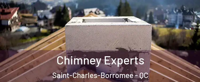 Chimney Experts Saint-Charles-Borromee - QC