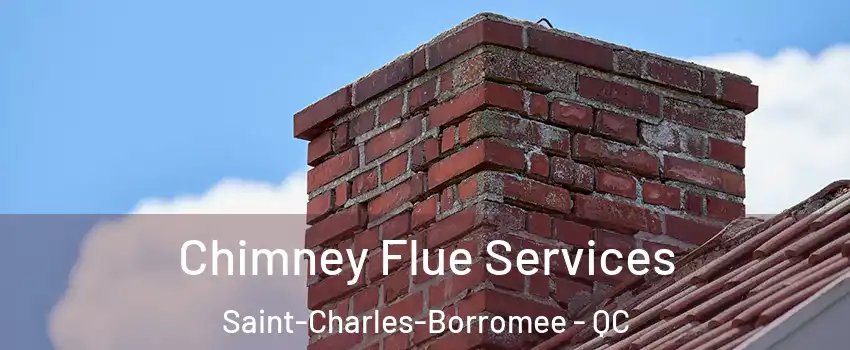  Chimney Flue Services Saint-Charles-Borromee - QC