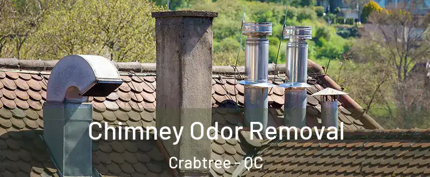  Chimney Odor Removal Crabtree - QC
