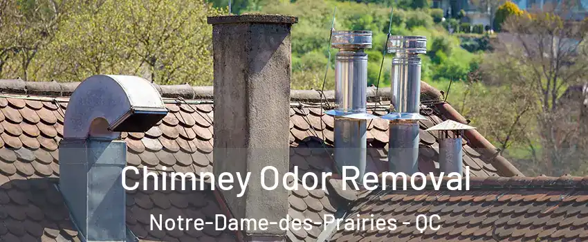  Chimney Odor Removal Notre-Dame-des-Prairies - QC