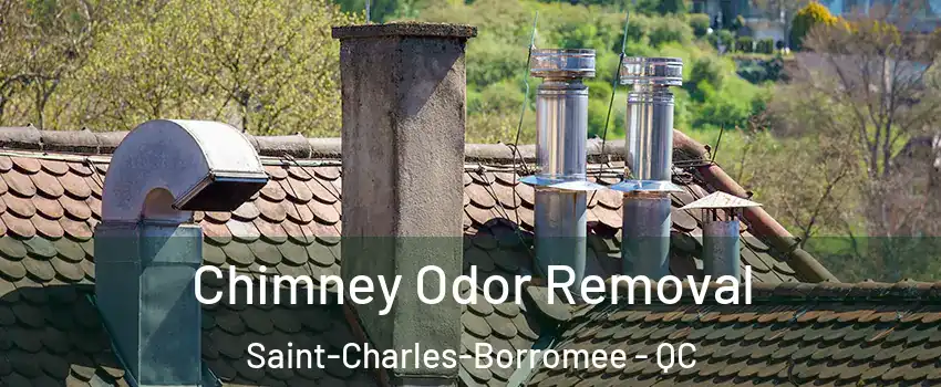  Chimney Odor Removal Saint-Charles-Borromee - QC