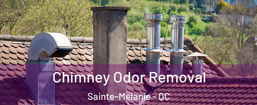  Chimney Odor Removal Sainte-Melanie - QC