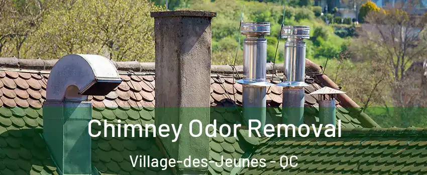  Chimney Odor Removal Village-des-Jeunes - QC