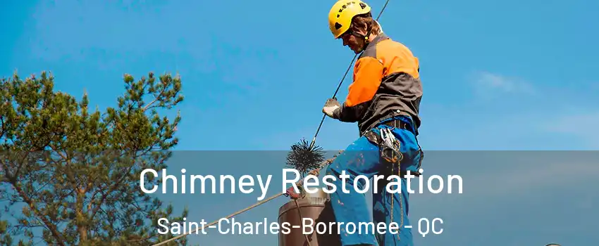  Chimney Restoration Saint-Charles-Borromee - QC