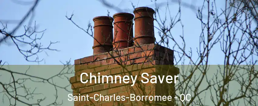  Chimney Saver Saint-Charles-Borromee - QC