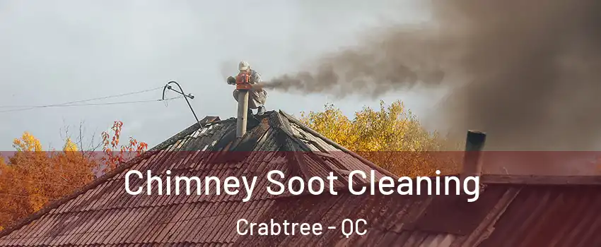  Chimney Soot Cleaning Crabtree - QC