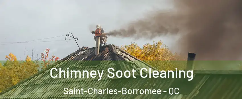  Chimney Soot Cleaning Saint-Charles-Borromee - QC