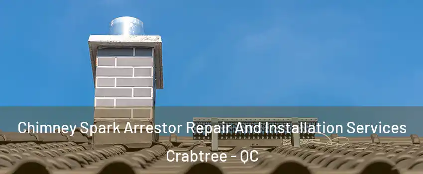  Chimney Spark Arrestor Repair And Installation Services Crabtree - QC