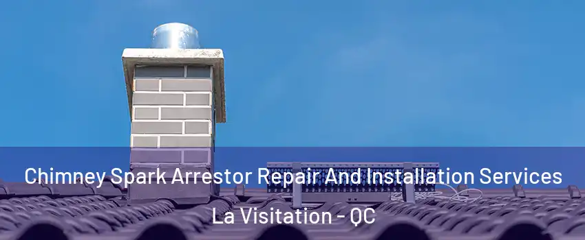  Chimney Spark Arrestor Repair And Installation Services La Visitation - QC