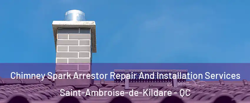 Chimney Spark Arrestor Repair And Installation Services Saint-Ambroise-de-Kildare - QC
