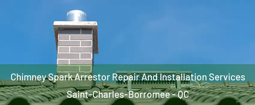  Chimney Spark Arrestor Repair And Installation Services Saint-Charles-Borromee - QC