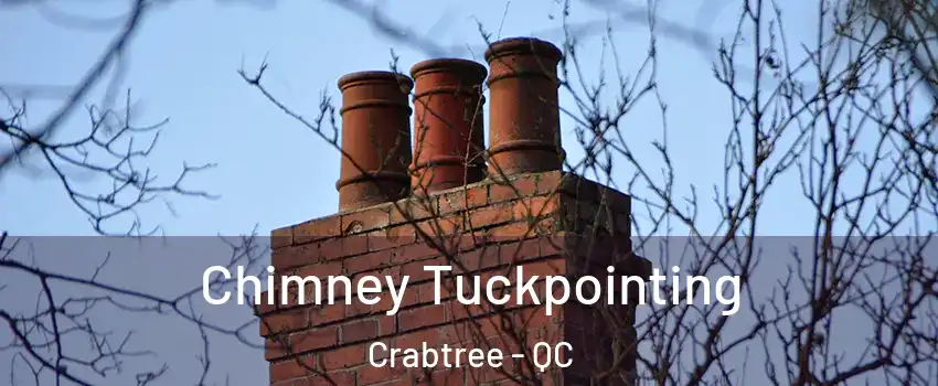  Chimney Tuckpointing Crabtree - QC