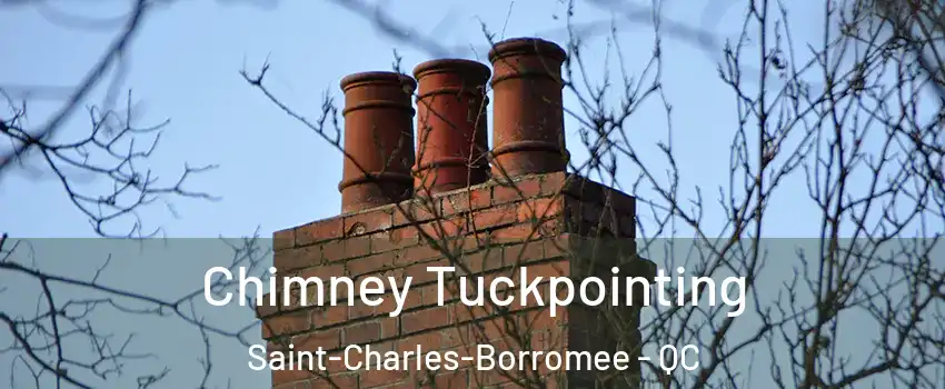  Chimney Tuckpointing Saint-Charles-Borromee - QC