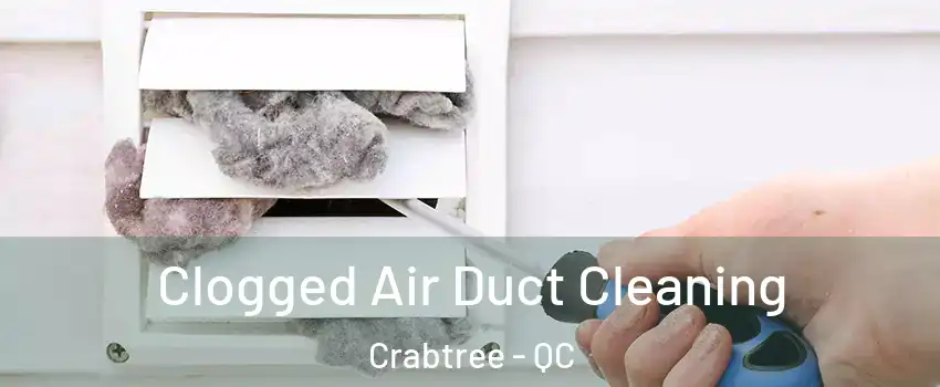  Clogged Air Duct Cleaning Crabtree - QC