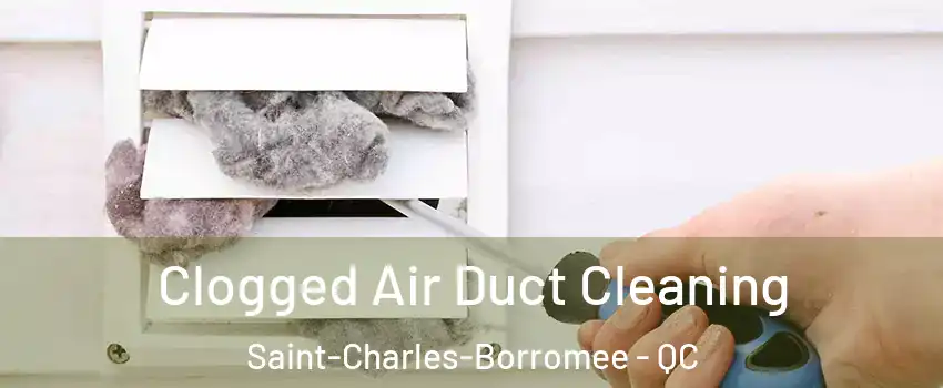 Clogged Air Duct Cleaning Saint-Charles-Borromee - QC