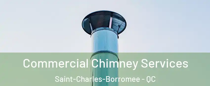  Commercial Chimney Services Saint-Charles-Borromee - QC