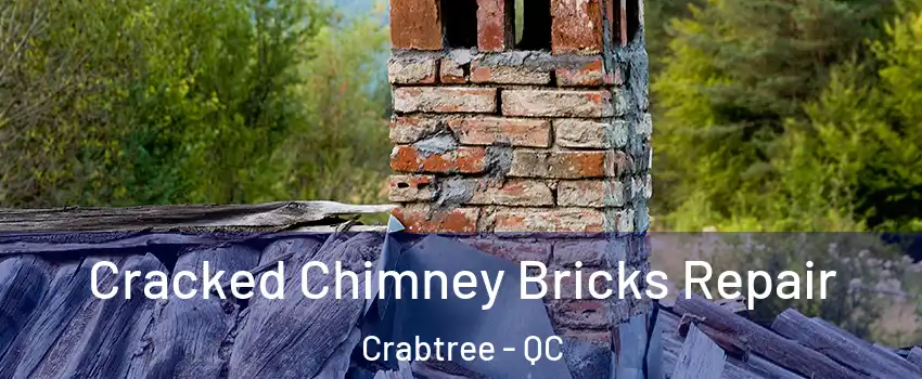  Cracked Chimney Bricks Repair Crabtree - QC