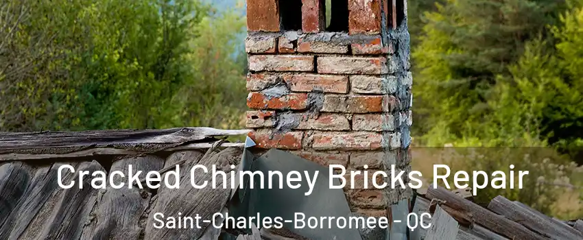  Cracked Chimney Bricks Repair Saint-Charles-Borromee - QC