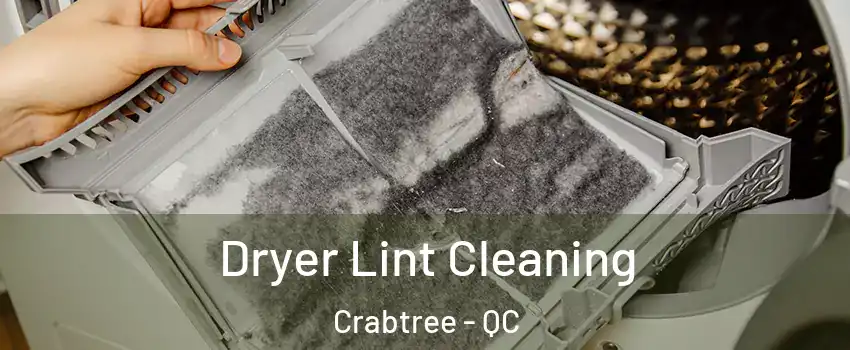  Dryer Lint Cleaning Crabtree - QC