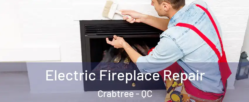  Electric Fireplace Repair Crabtree - QC