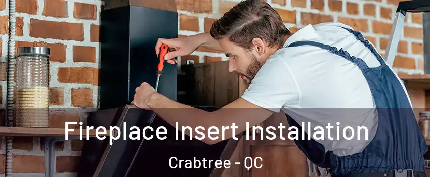  Fireplace Insert Installation Crabtree - QC