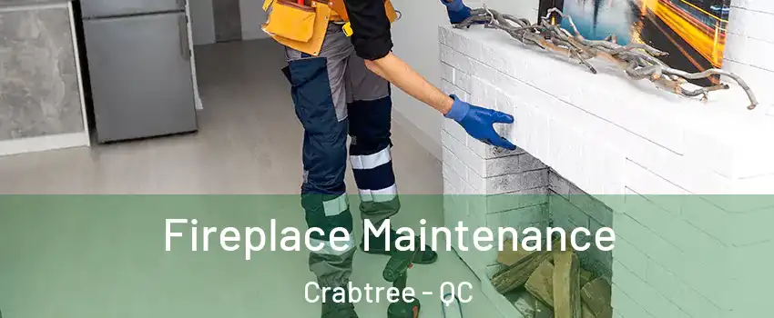  Fireplace Maintenance Crabtree - QC