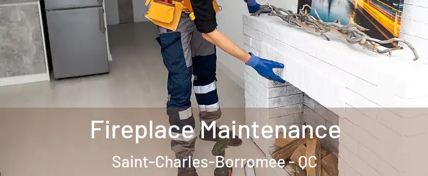 Fireplace Maintenance Saint-Charles-Borromee - QC