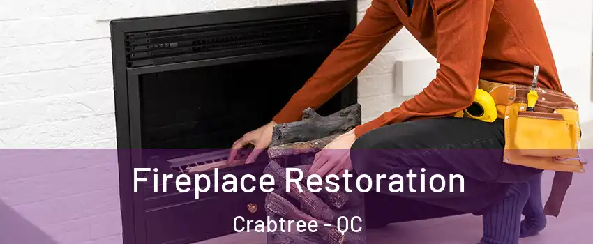  Fireplace Restoration Crabtree - QC