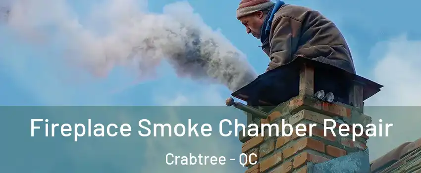  Fireplace Smoke Chamber Repair Crabtree - QC