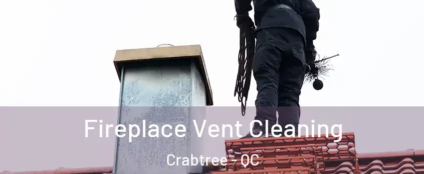  Fireplace Vent Cleaning Crabtree - QC