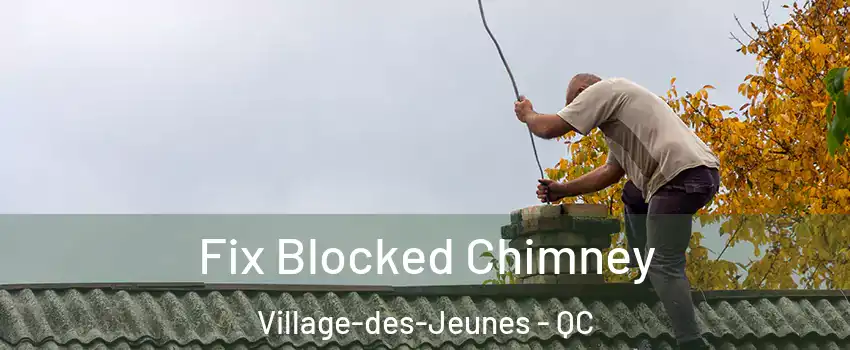  Fix Blocked Chimney Village-des-Jeunes - QC